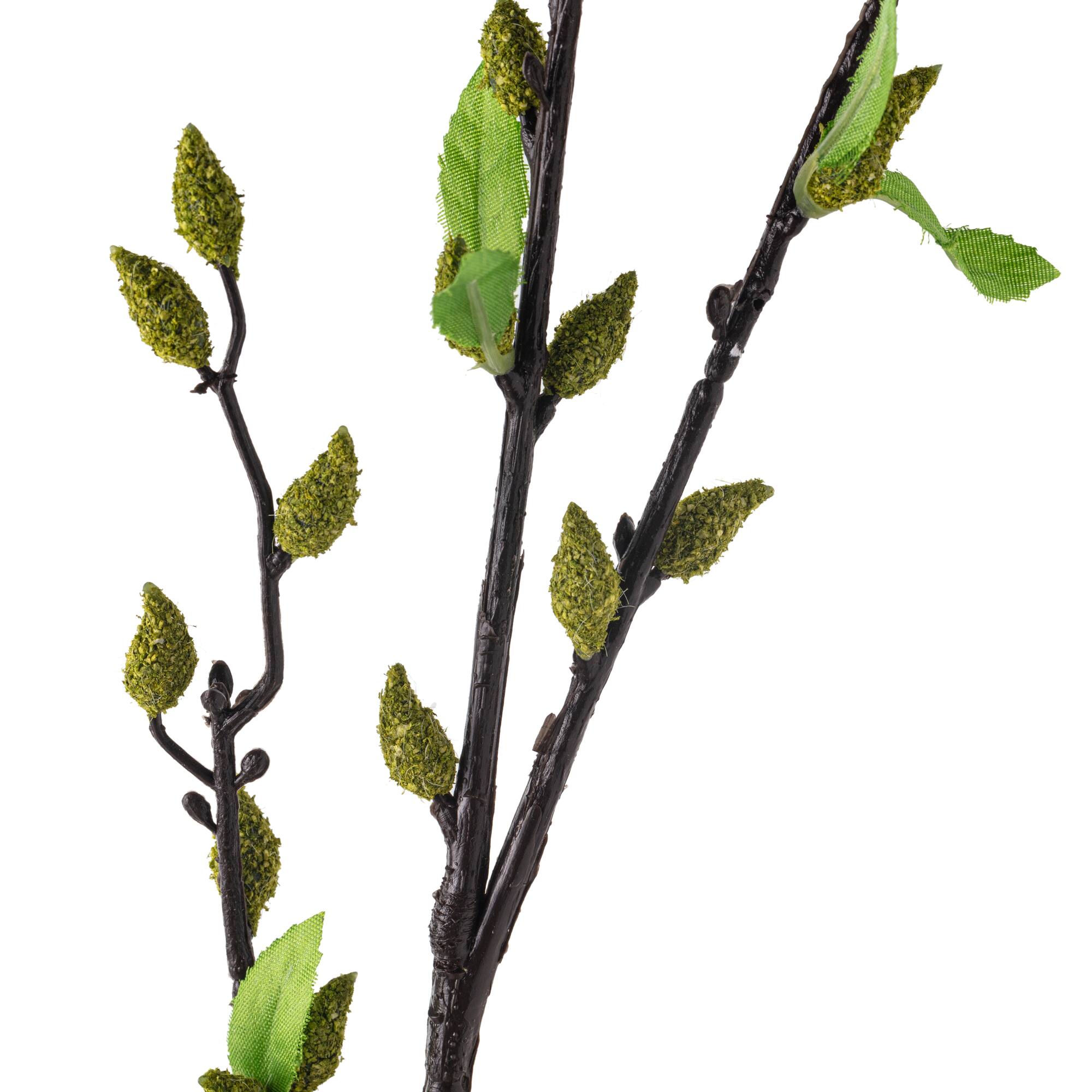 Green Willow Stem by Ashland®